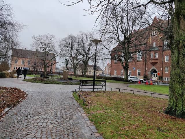 city park - Image 2