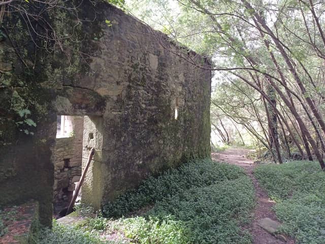 Trilho das lontras - Image 1