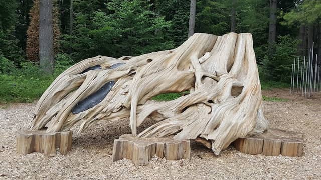Surrey Nature Centre - Image 3