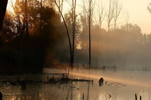 Herron's Pond - Image 2