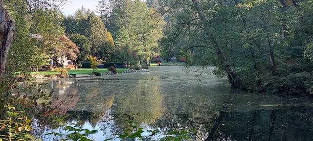 Kelly Lake - Image 1