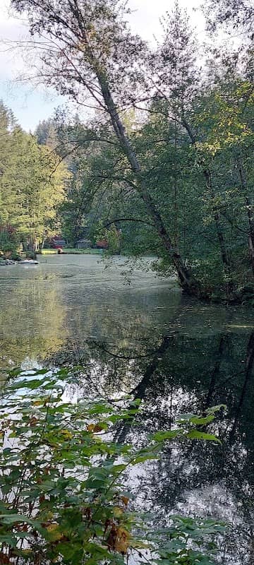 Kelly Lake - Image 2