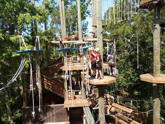 The Swamp Park- Zip Line and ATV Center - Image 3