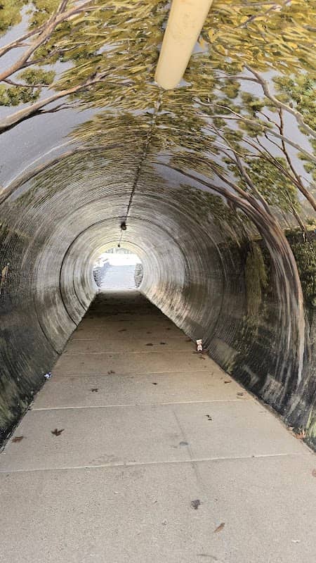 Tree Tunnel - Image 1