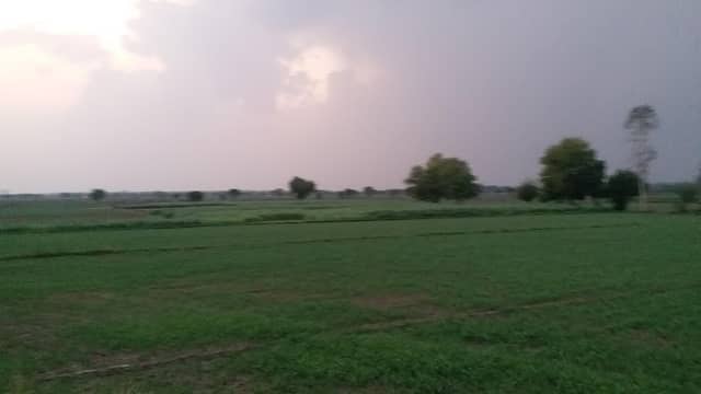 Nature's Beauty - Image 1