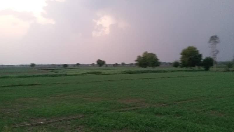 Nature's Beauty - Image 1