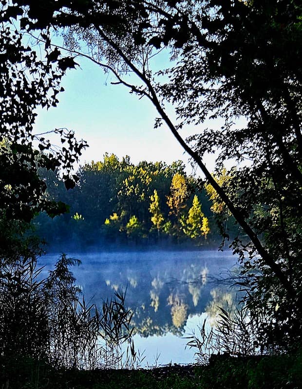 Waldron Pond - Image 1