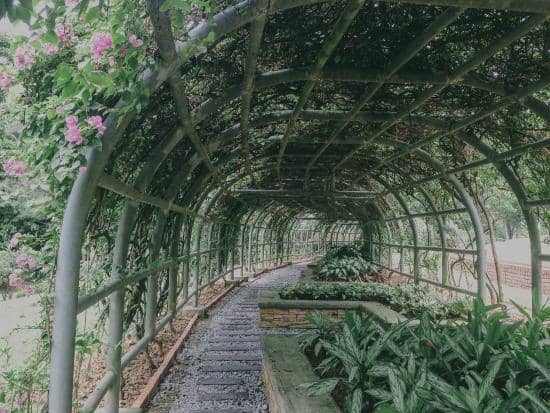 Taman Botani Putrajaya - Image 3