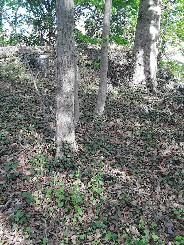 Frank Egan Memorial Park - Image 3