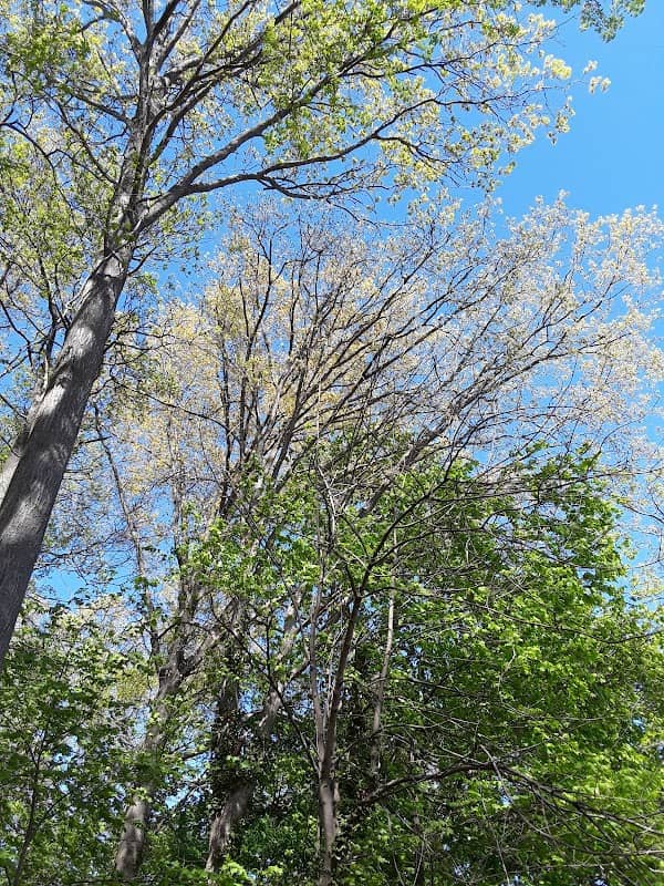 Frank Egan Memorial Park - Image 2