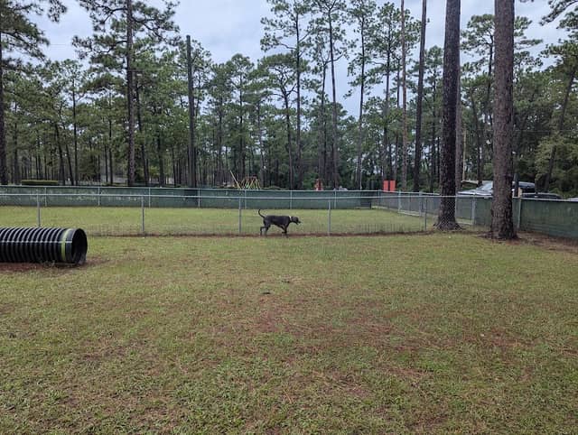 Dog Park - Image 1