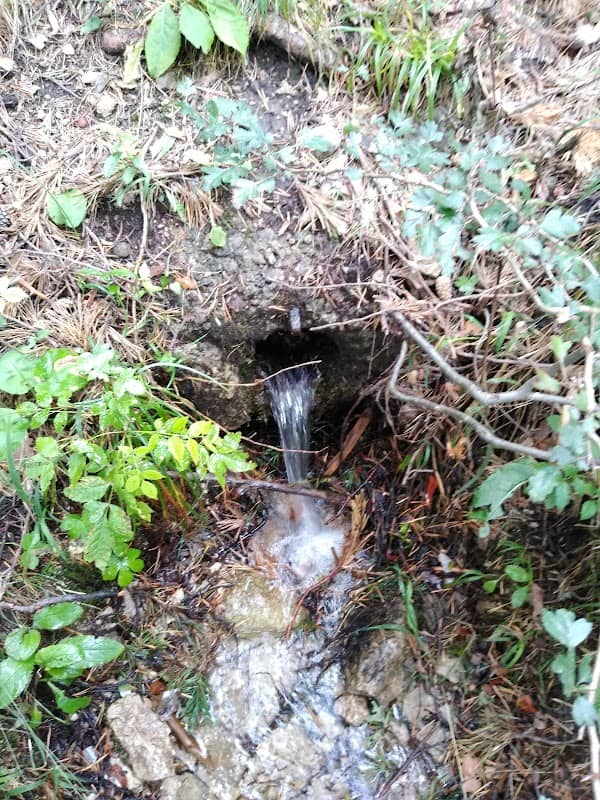 horský pramienok - Image 2