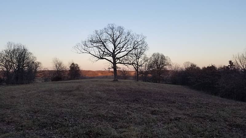 Dark Hollow Natural Area - Image 1
