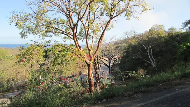 Monumento Distribuidor chaure - Image 2