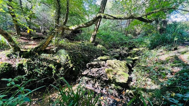 Thorndon mini waterfall - Image 1