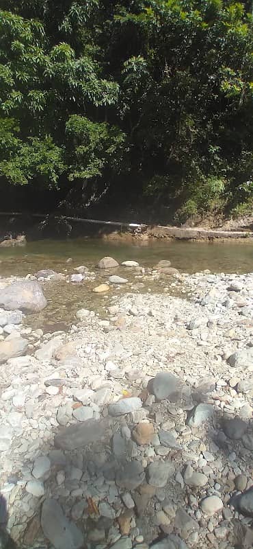 Rio Acapulco - Image 1