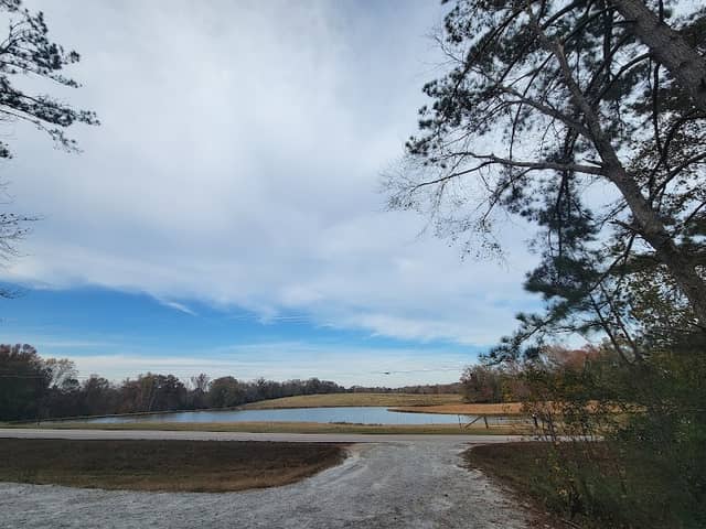 Cricket Frog Trail Parking - Image 3