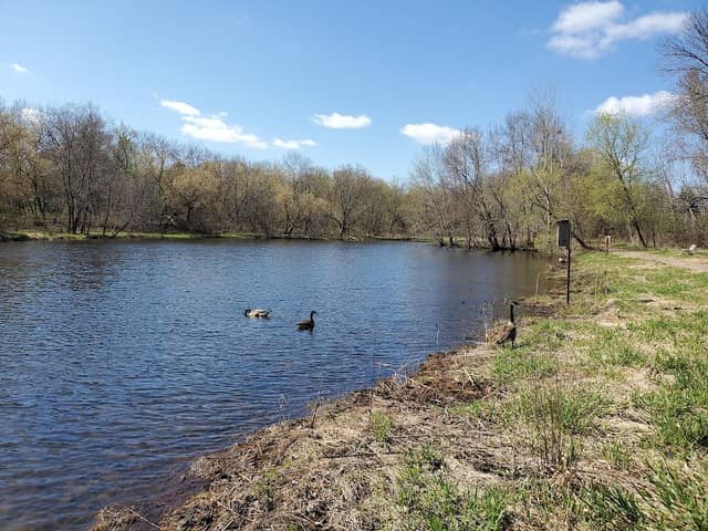 Southwood Nature Preserve - Image 2