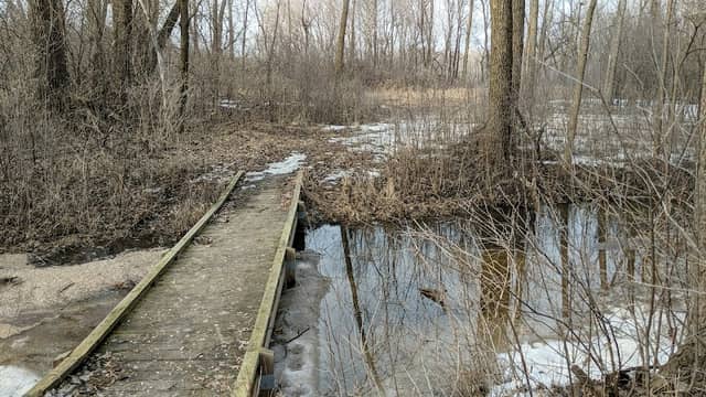 Southwood Nature Preserve - Image 1