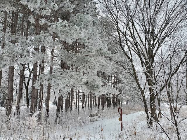 Southwood Nature Preserve - Image 3