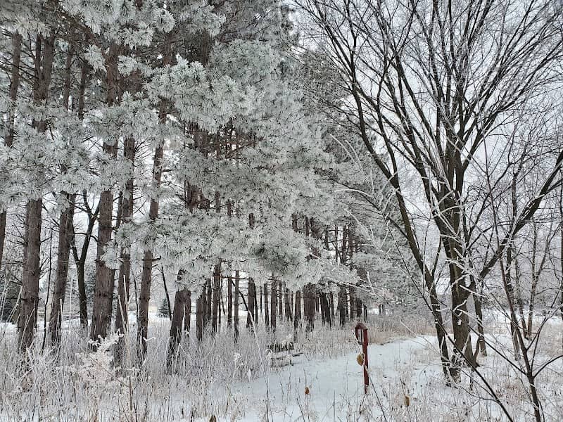 Southwood Nature Preserve - Image 3