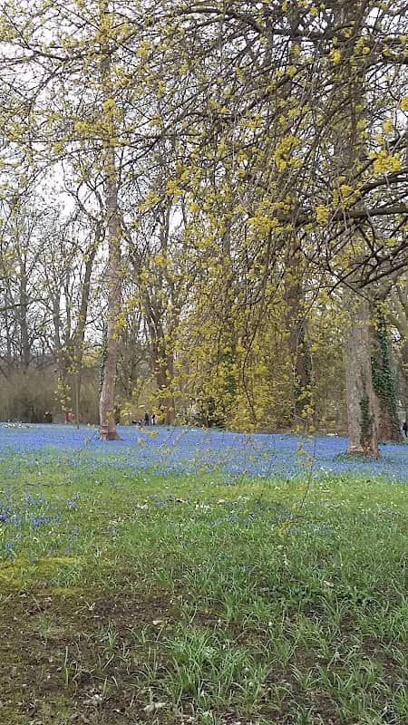 Das blaue Wunder - Image 1