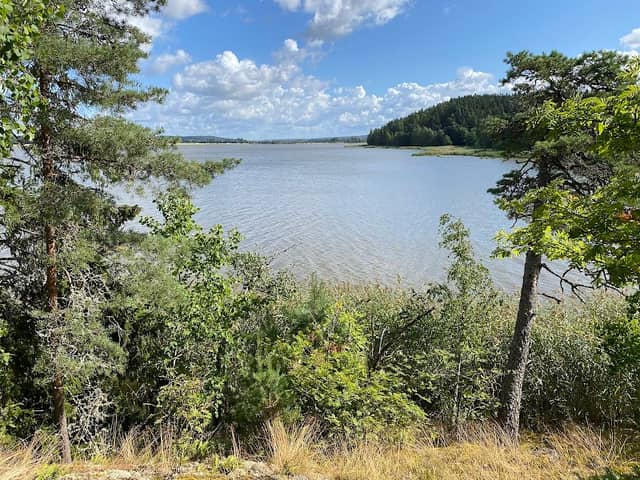Vaisakko Nature Reserve - Image 1