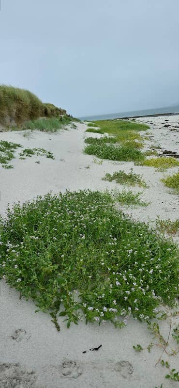 Eolaigearraidh Beach - Image 3