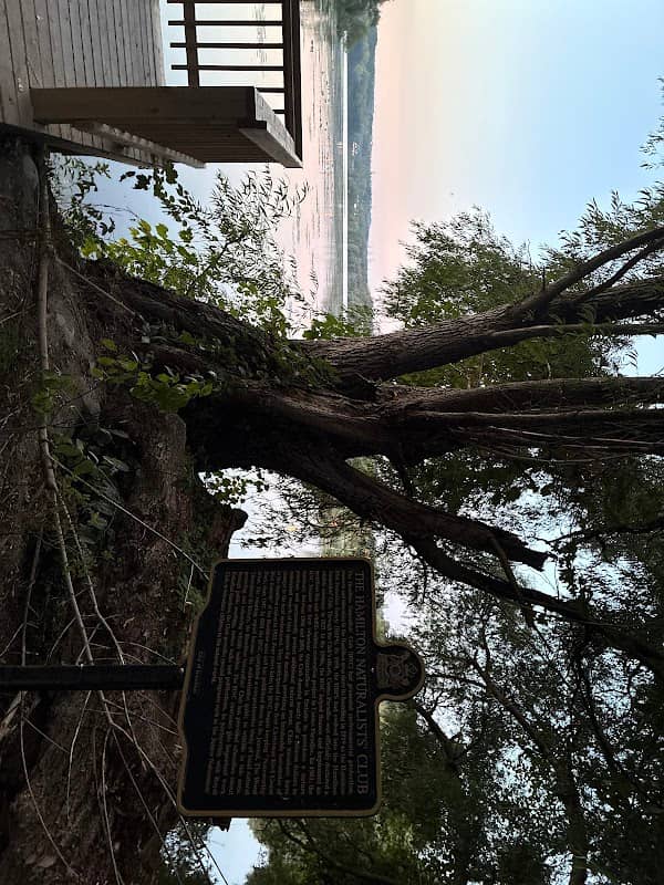 Naturalist Club Lookout - Image 2