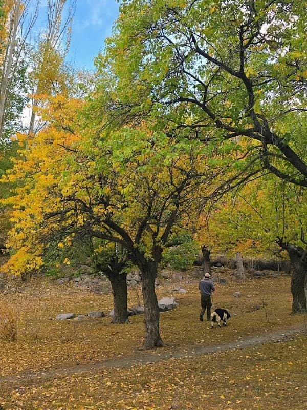 Ghulkin Razēàk - Image 1