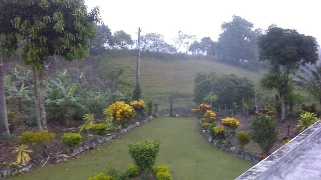 El Parque - Image 1