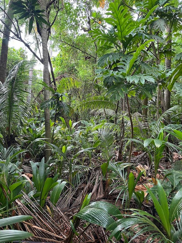 Soso Village Trail - Image 1