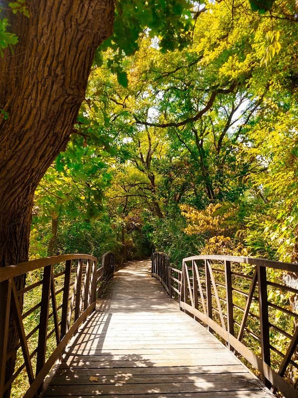 White Rock Creek Trail - Image 2