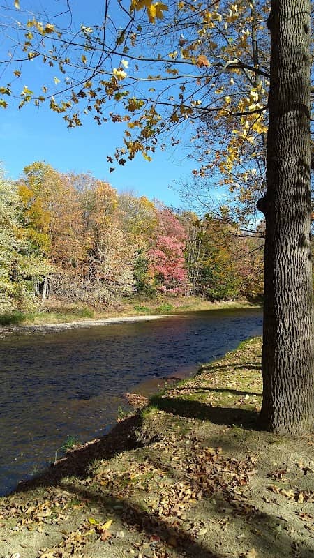 Swift River Walking Trail - Image 2