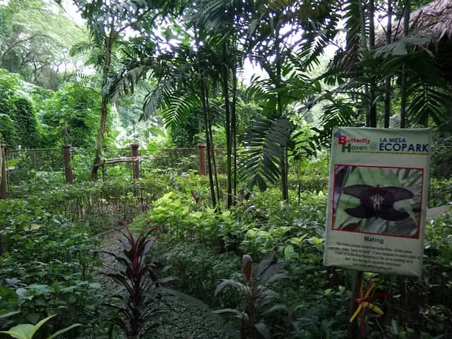 La Mesa Butterfly Haven - Image 1