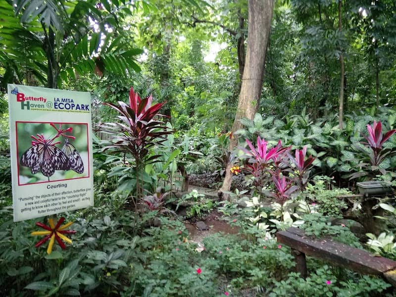 La Mesa Butterfly Haven - Image 3
