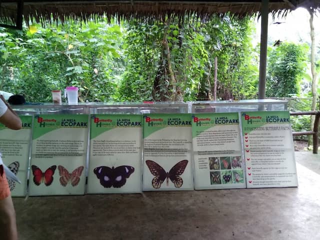 La Mesa Butterfly Haven - Image 2