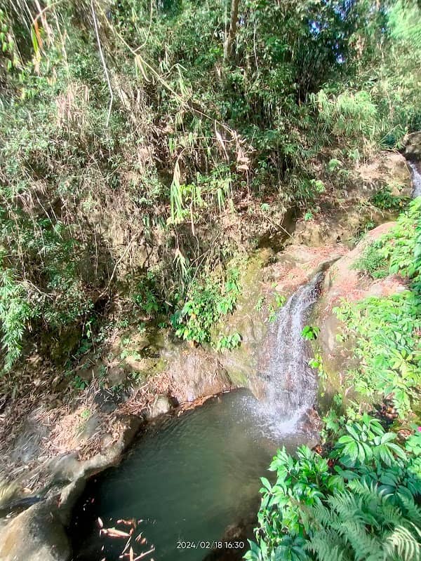 JM farm - Image 1