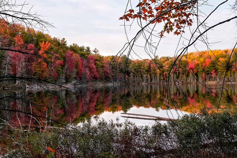 Ransom Lake Natural Area - Image 1