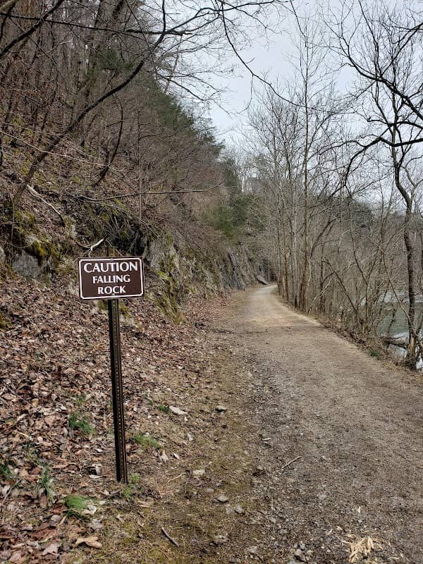 Chessie Nature Trail - Image 2