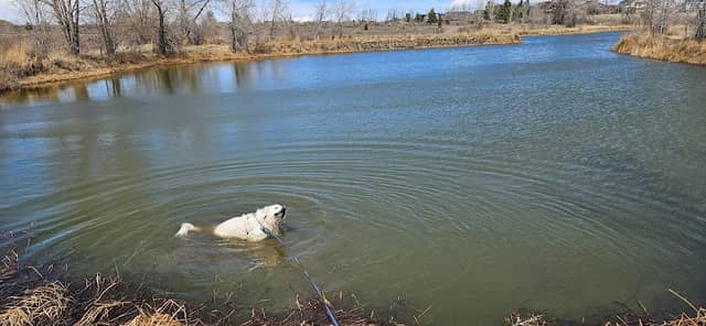 Snicklefritz Pond - Image 1