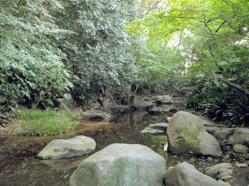Nanushinotaki Park - Image 1