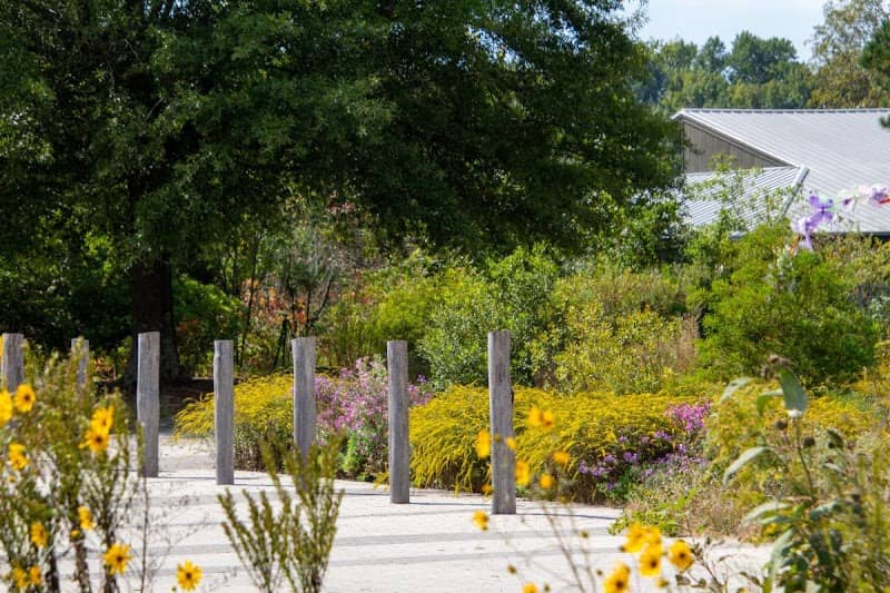 Adkins Arboretum - Image 1