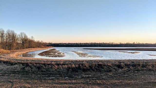 Bellrose Observation Deck - Image 1