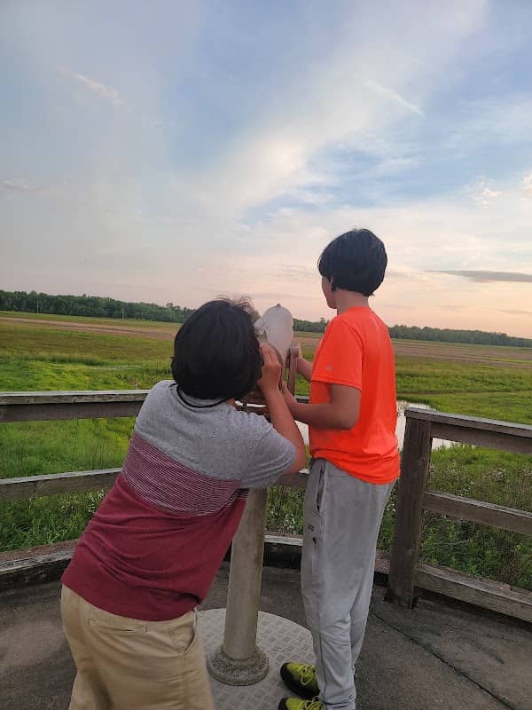 Bellrose Observation Deck - Image 2