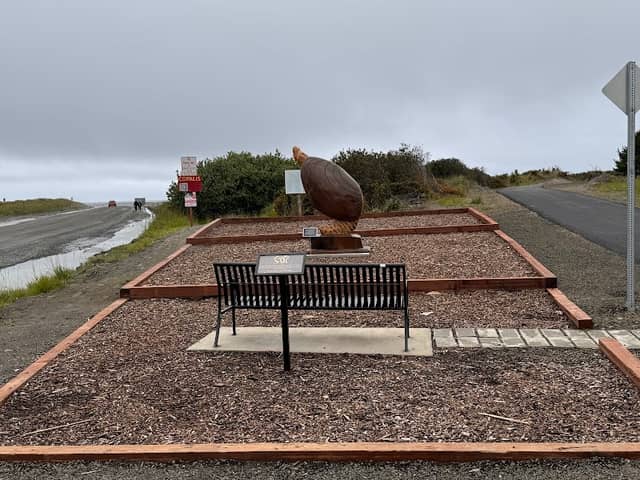 Ocean Shores Razor Clam Pocket Park - Image 1