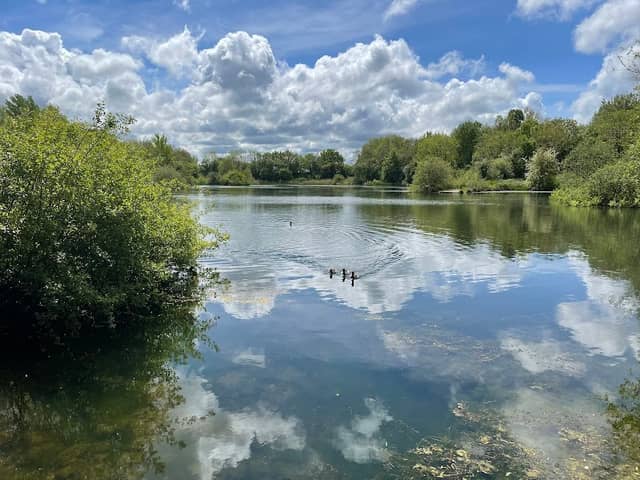 Longton Brickcroft Nature Reserve - Image 1