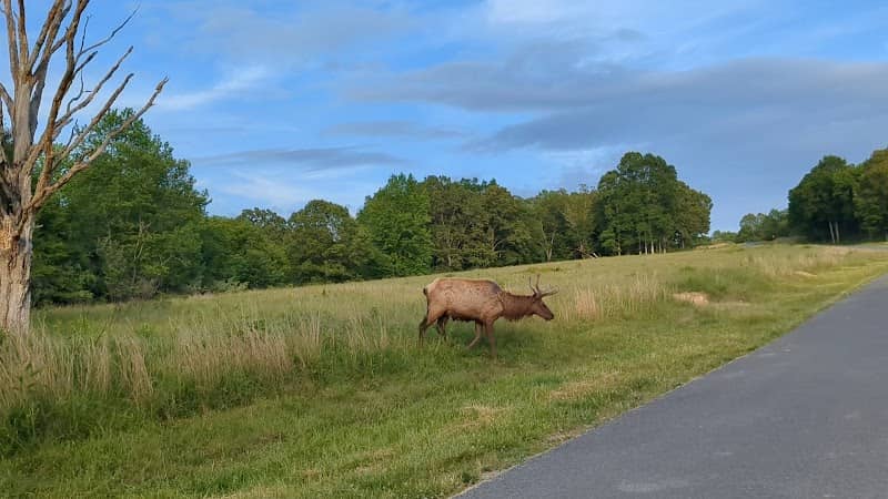 Friends of Land Between the Lakes - Image 1