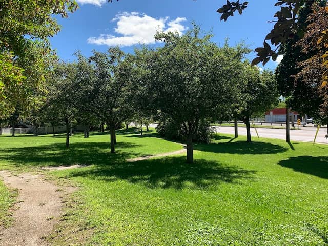 St. Amour Park - Image 1