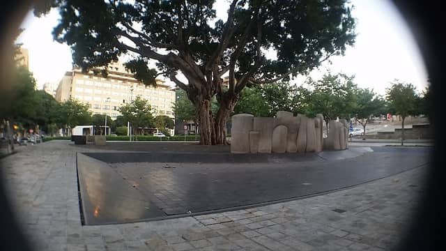 Downtown Tree - Image 1
